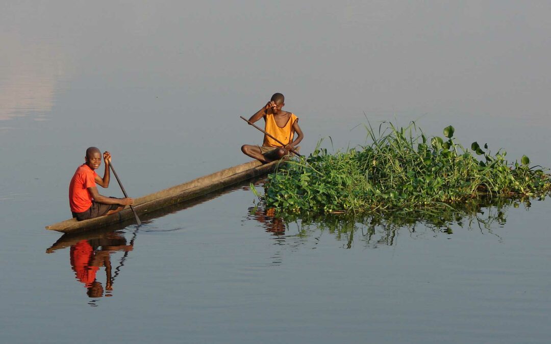 TOF begins on ESIA for an access road for a renewable energy project. DR Congo, Africa